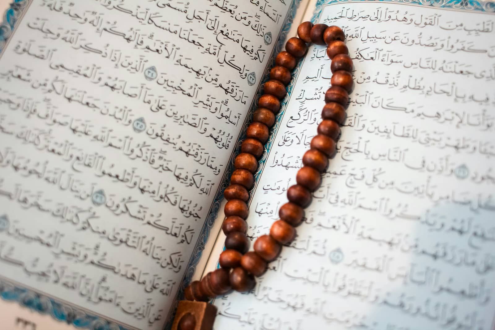 مجتمع بوصلة الحياة