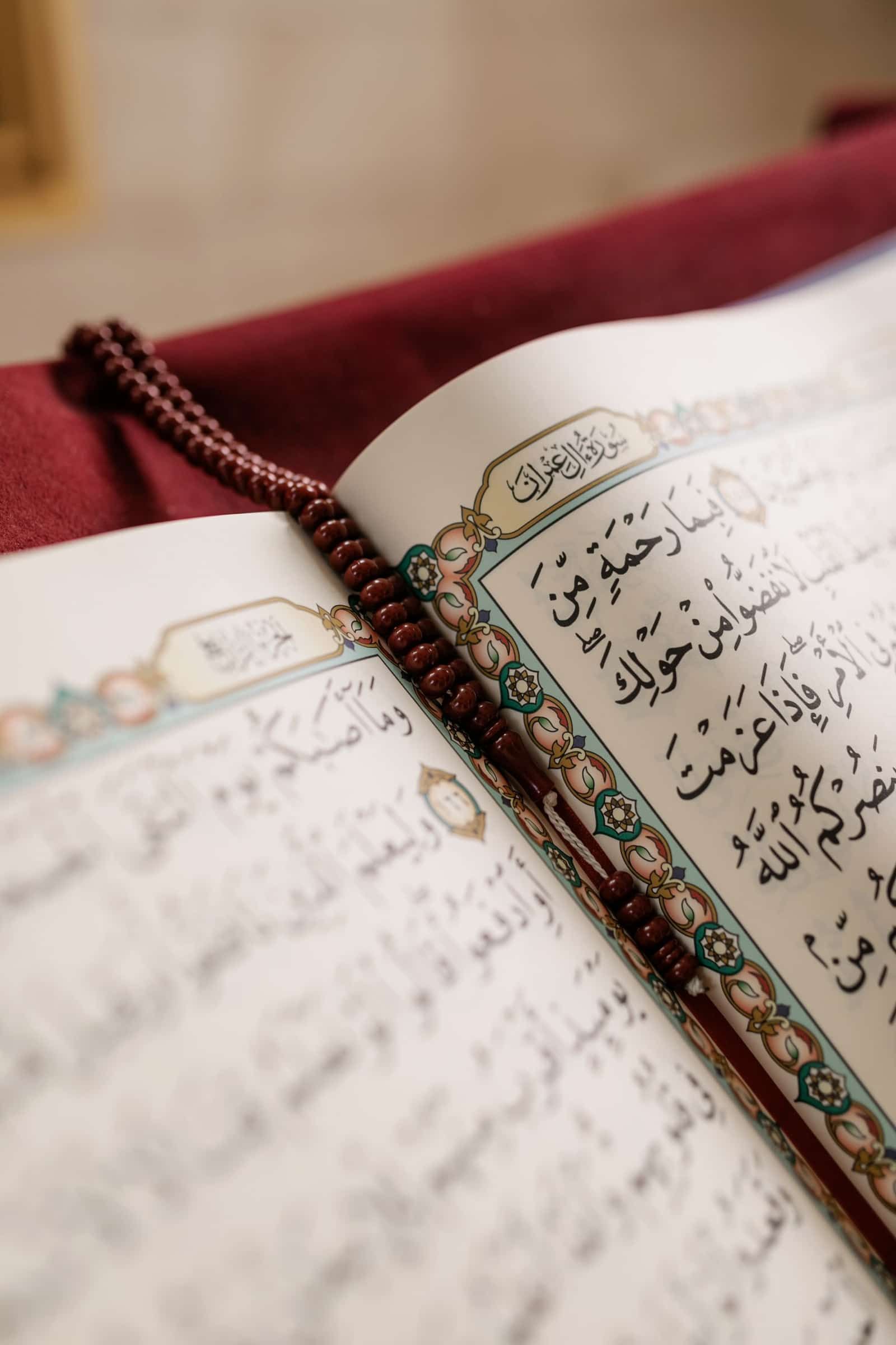 مبادرات وأنشطة قادمة